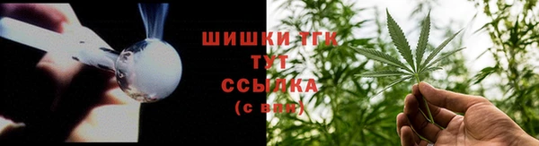 ECSTASY Дмитриев