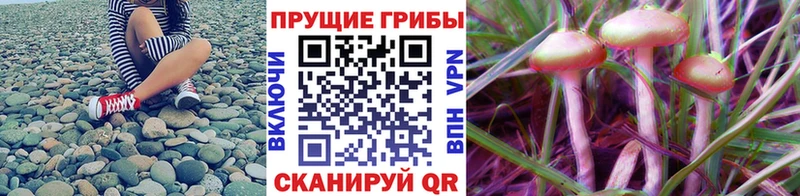 Купить где  Лагань  Галлюциногенные грибы ЛСД 